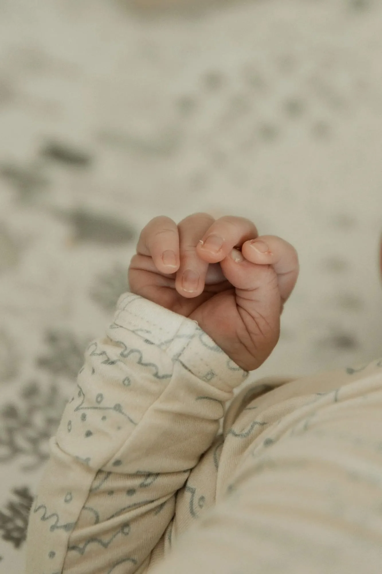 The Family Nursery: photo 2 of 11