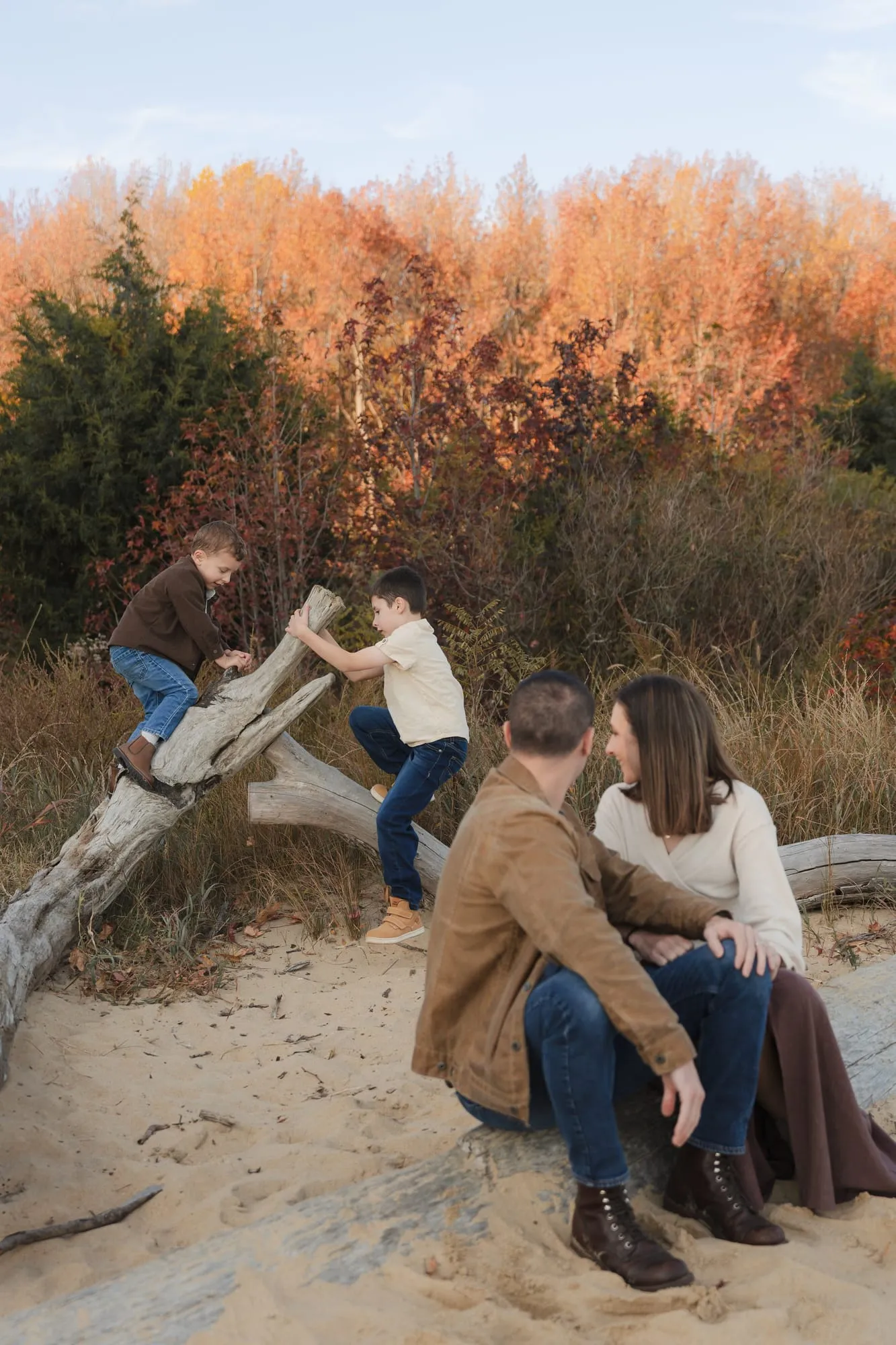 Fall Foliage: photo 4 of 4